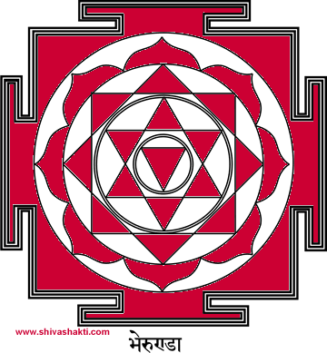Файл:Bherunda nitya.gif