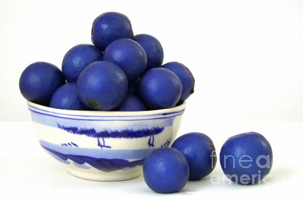Файл:Rudraksha fruit 2.jpg