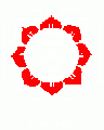 3.gif
