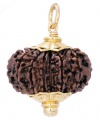 Fourteen-face-rudraksha.jpg