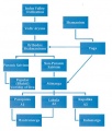 Beginning of the Tantra.jpg